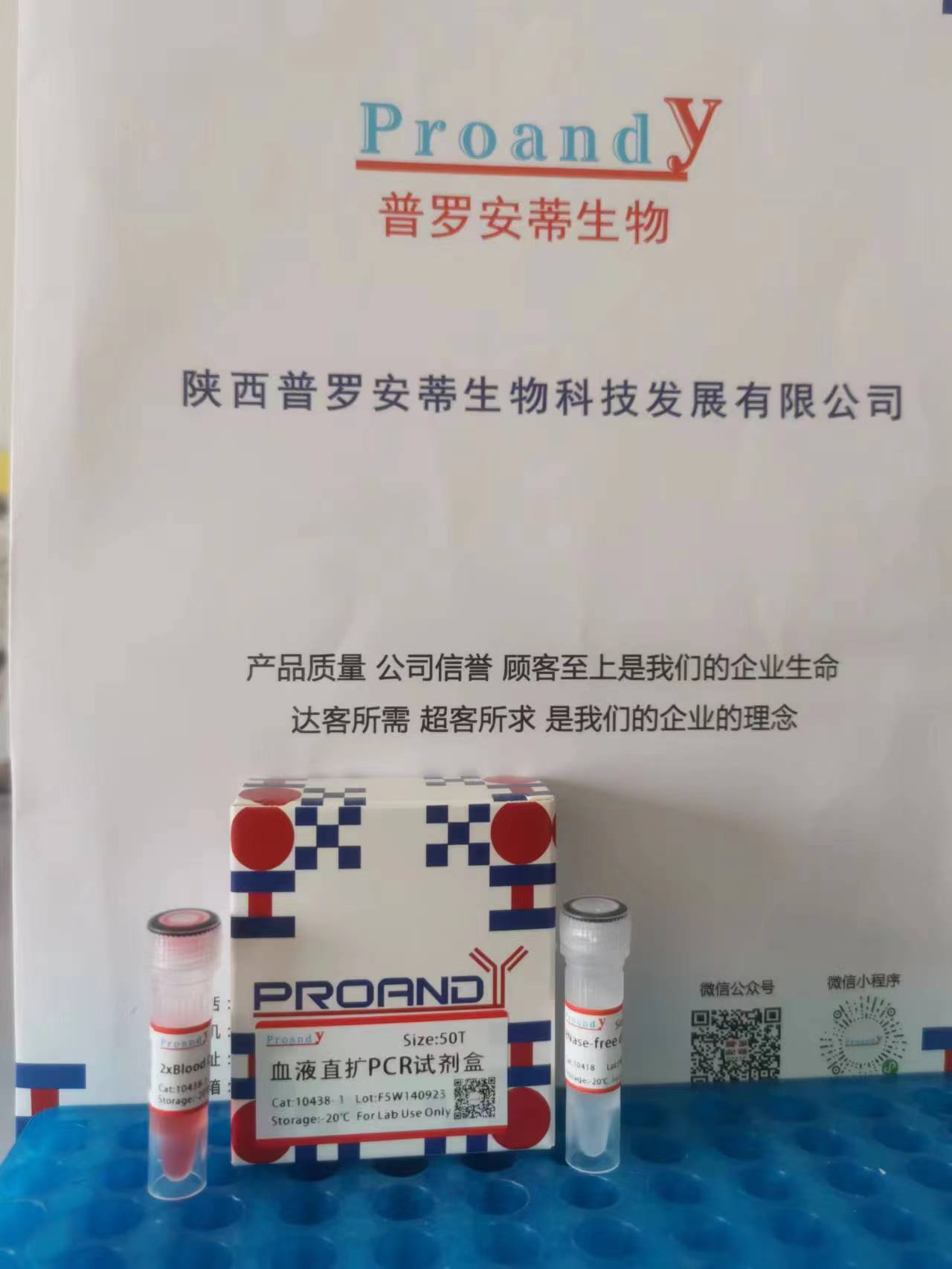 血液直擴PCR.jpg