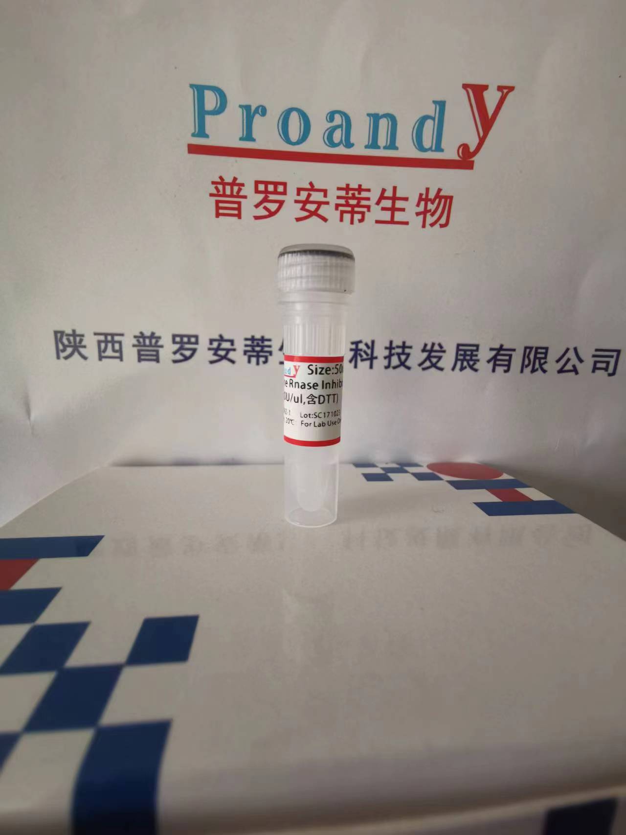 鼠源RNAase抑制劑（含DTT）.jpg