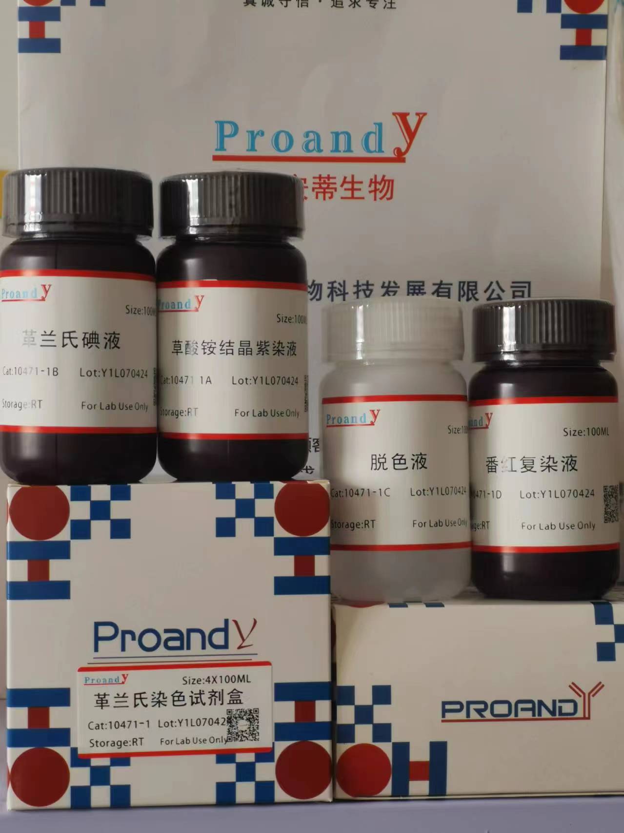 革蘭氏染色液試劑盒.jpg